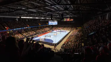 håndball vm